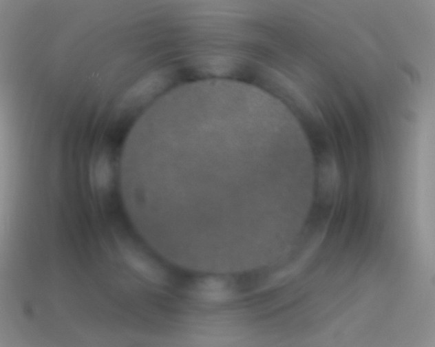 X0000113620126200910162001