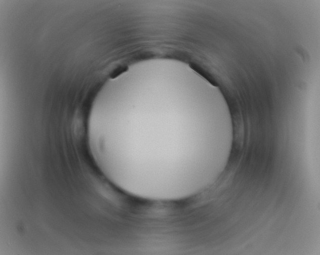 X0000113620128200910162001