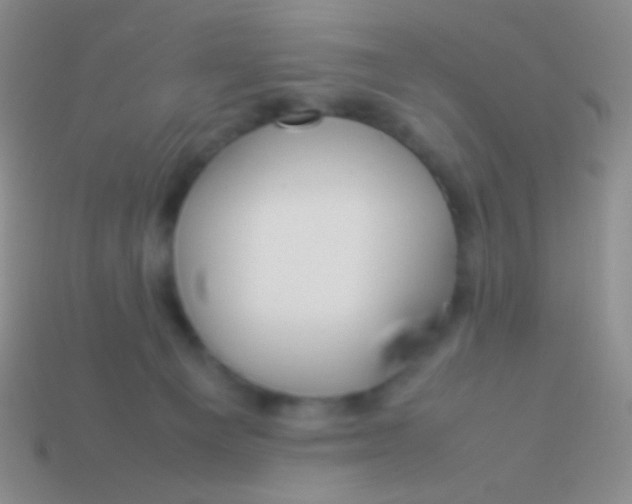 X0000113620129200910162001