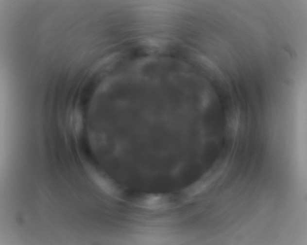 X0000113620130200910162001