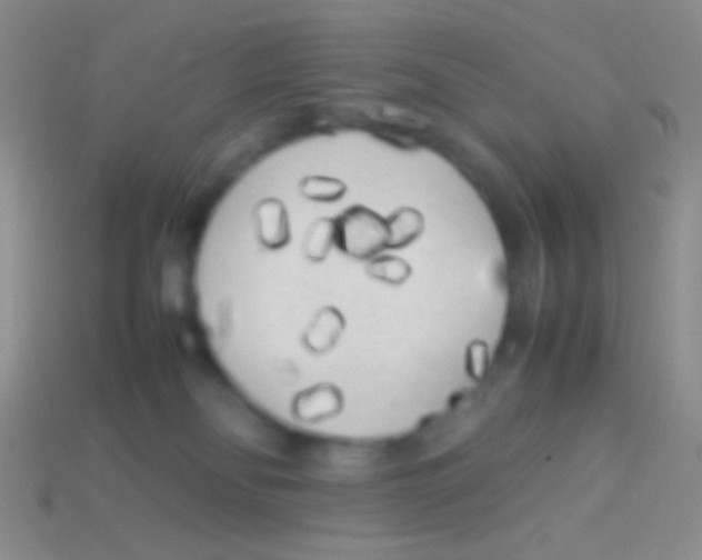 X0000113620134200910162001
