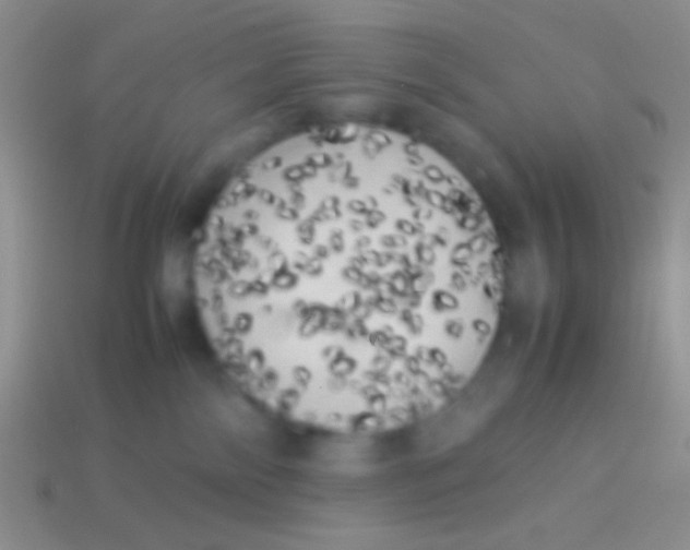 X0000113620138200910162001