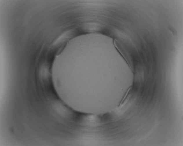 X0000113620140200910162001