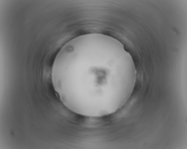 X0000113620141200910162001