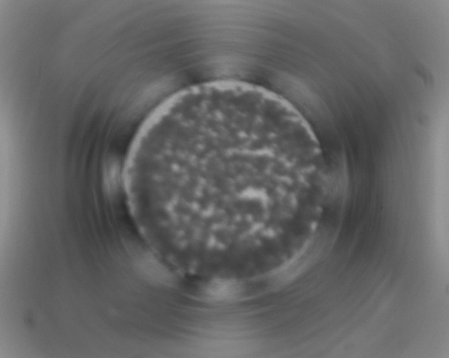 X0000113620142200910162001