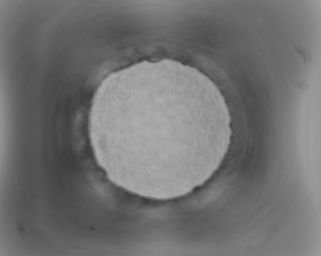 X0000113620144200910162001