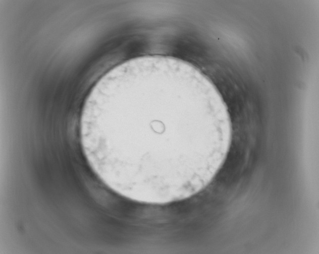 X0000113620146200910162001