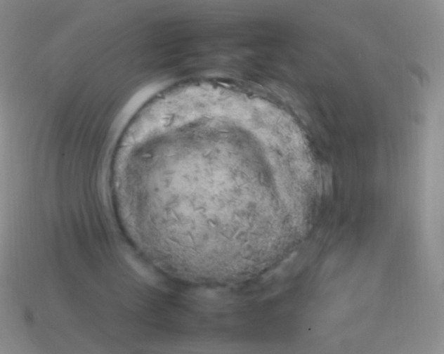 X0000113620147200910162001