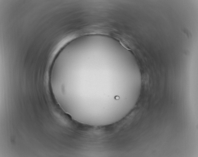 X0000113620148200910162001