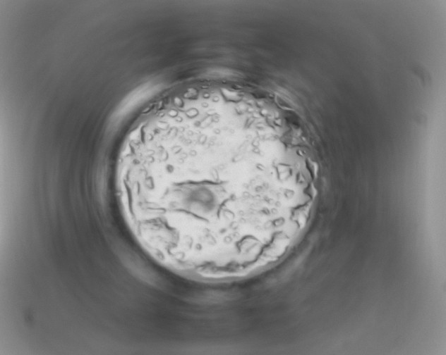 X0000113620149200910162001