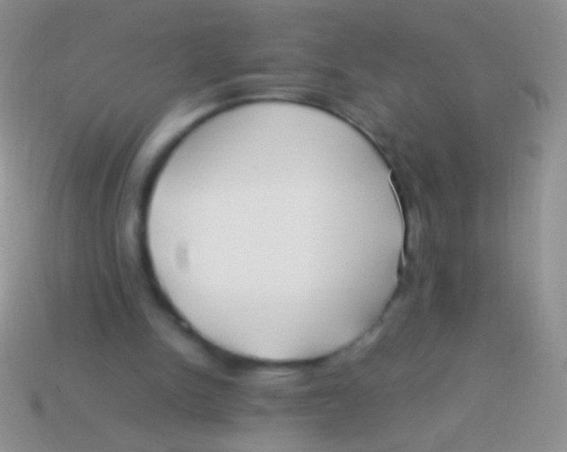 X0000113620150200910162001