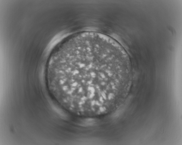X0000113620151200910162001