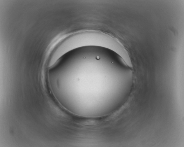 X0000113620152200910162001