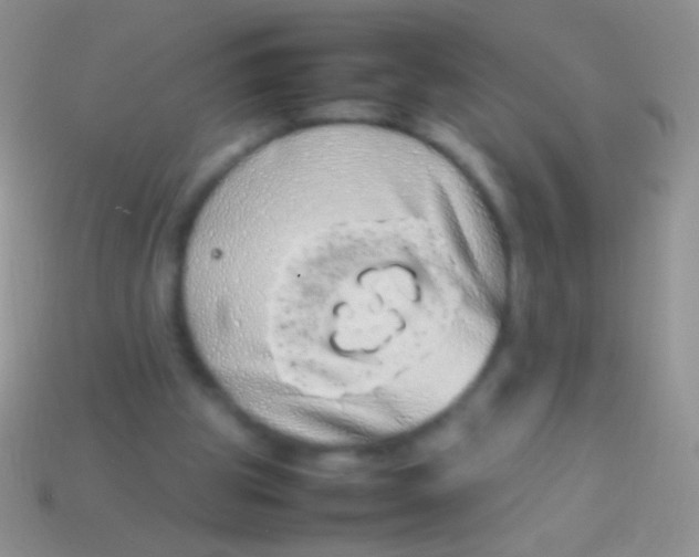X0000113620153200910162001