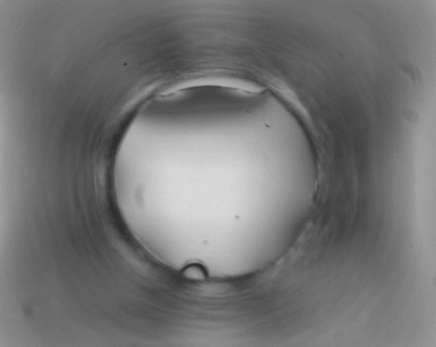 X0000113620154200910162001