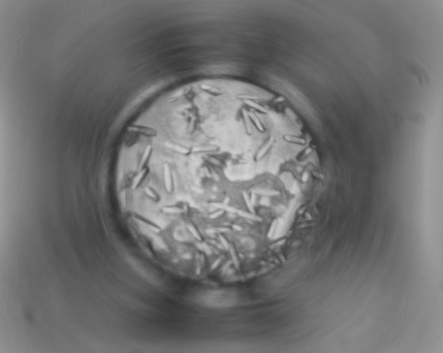 X0000113620155200910162001