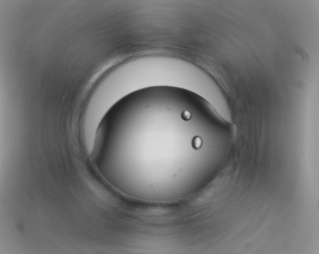 X0000113620156200910162001