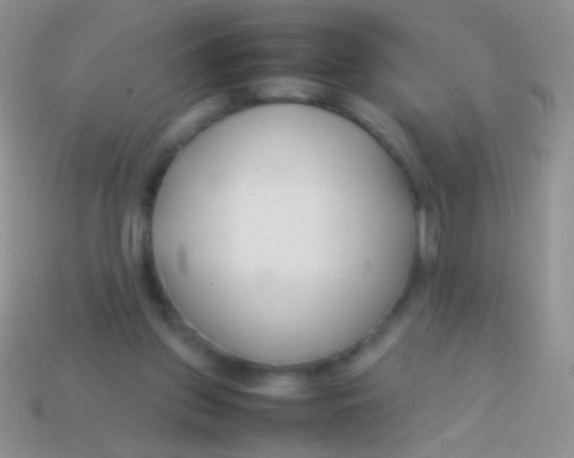 X0000113620157200910162001