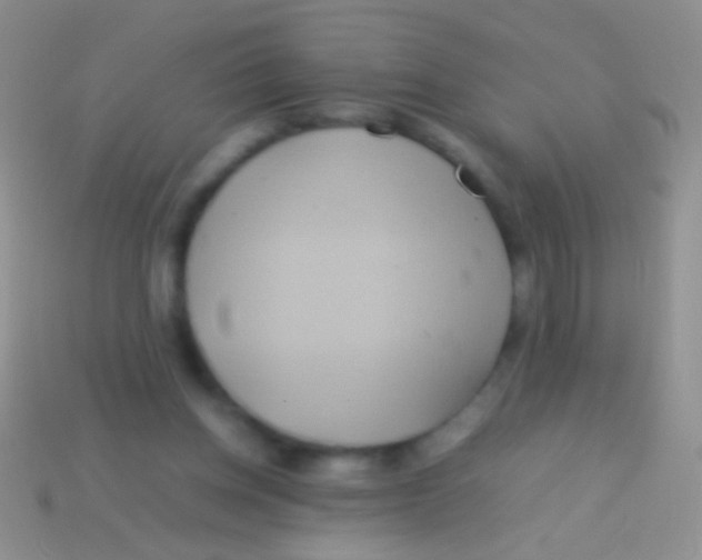 X0000113620158200910162001