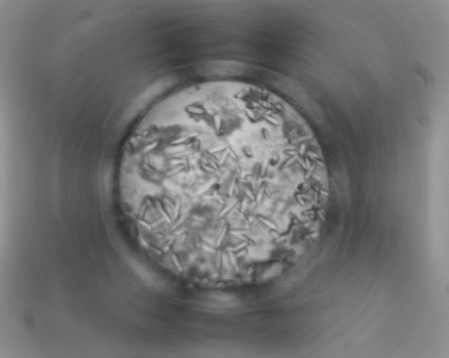 X0000113620159200910162001