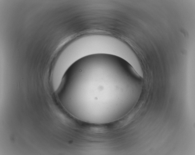 X0000113620160200910162001