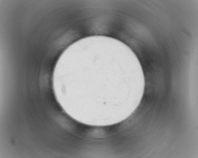 X0000113620162200910162001