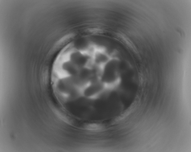 X0000113620163200910162001