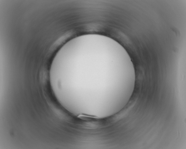 X0000113620164200910162001
