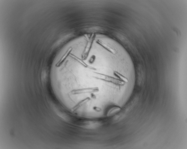 X0000113620165200910162001