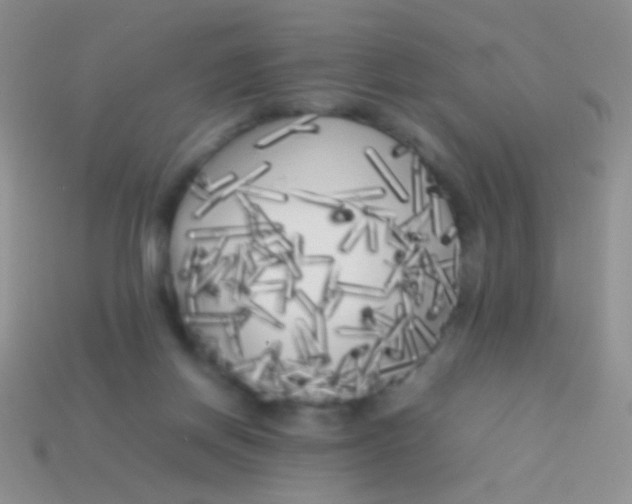 X0000113620166200910162001
