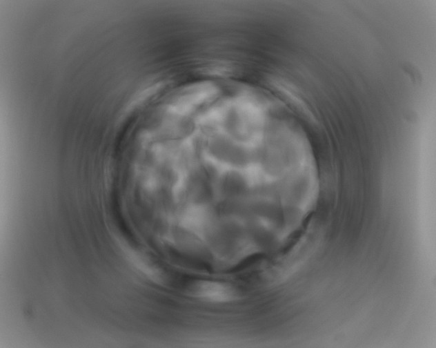X0000113620167200910162001