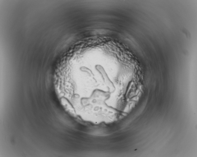 X0000113620169200910162001
