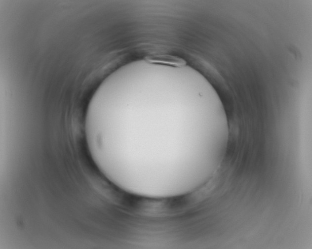 X0000113620170200910162001