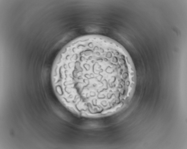 X0000113620171200910162001