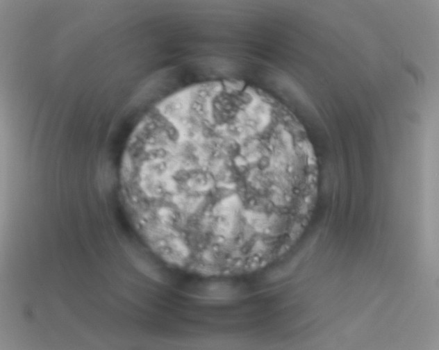 X0000113620173200910162001