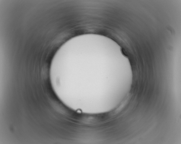 X0000113620174200910162001