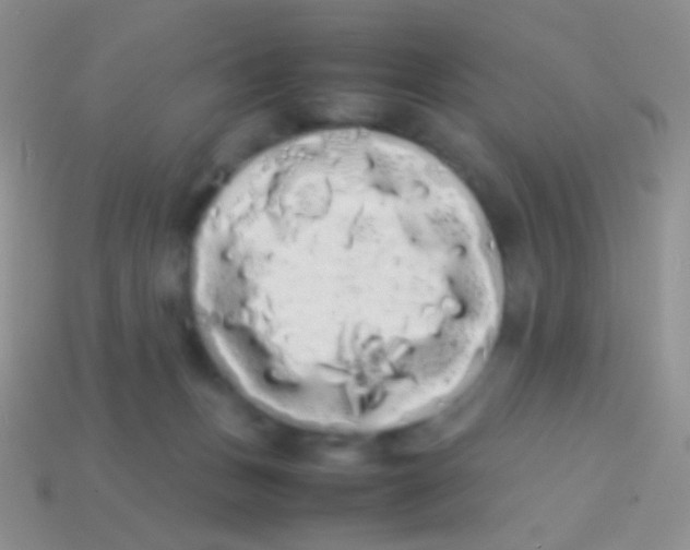 X0000113620175200910162001