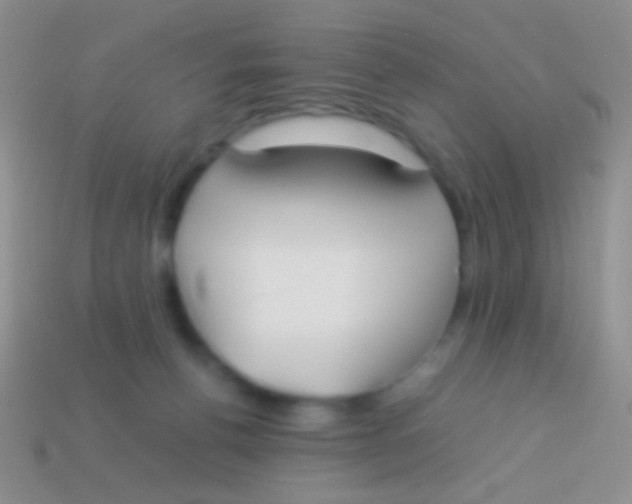 X0000113620176200910162001