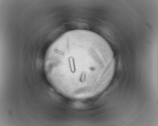 X0000113620177200910162001