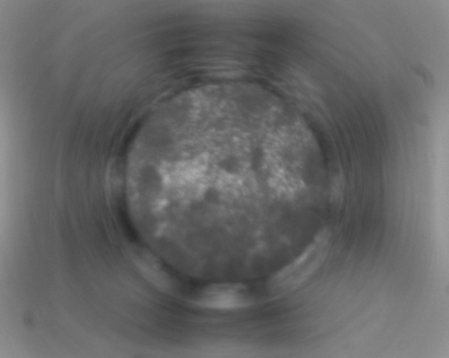 X0000113620179200910162001