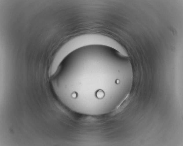 X0000113620180200910162001