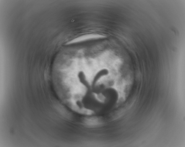 X0000113620181200910162001