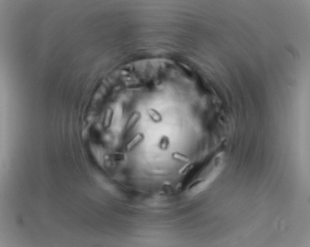 X0000113620182200910162001