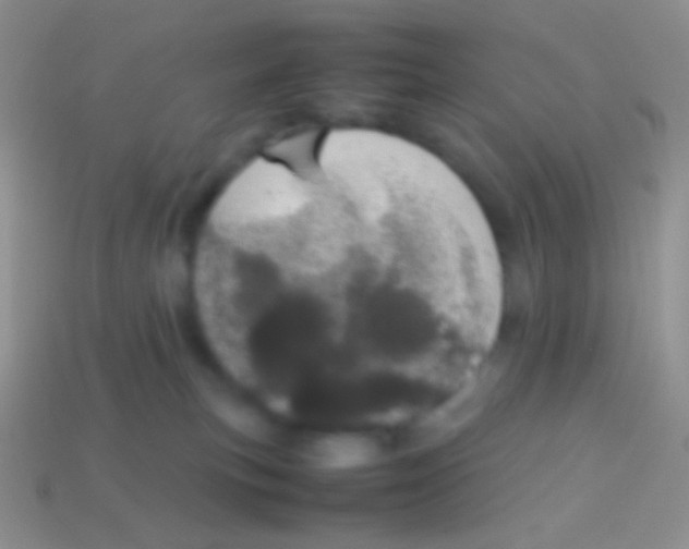 X0000113620183200910162001