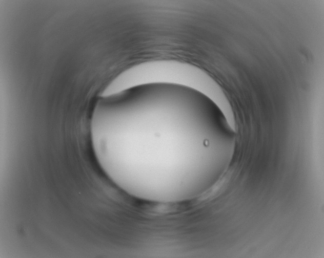 X0000113620184200910162001