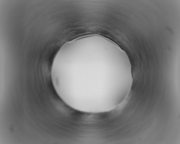 X0000113620186200910162001
