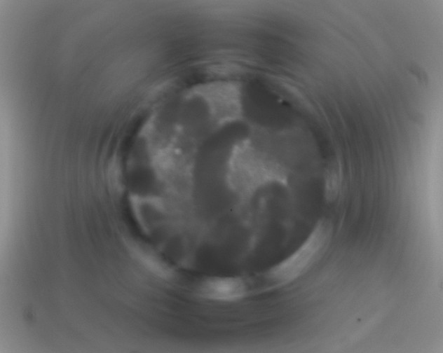 X0000113620187200910162001