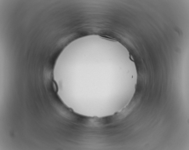 X0000113620188200910162001
