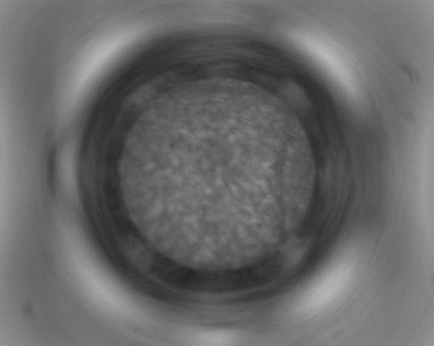 X0000113620189200910162001