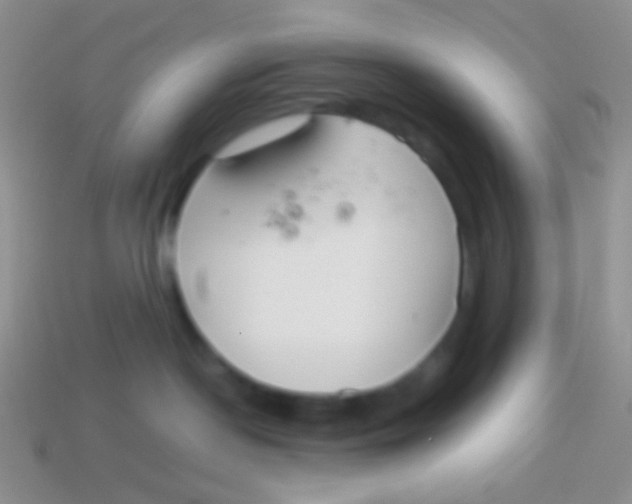X0000113620190200910162001